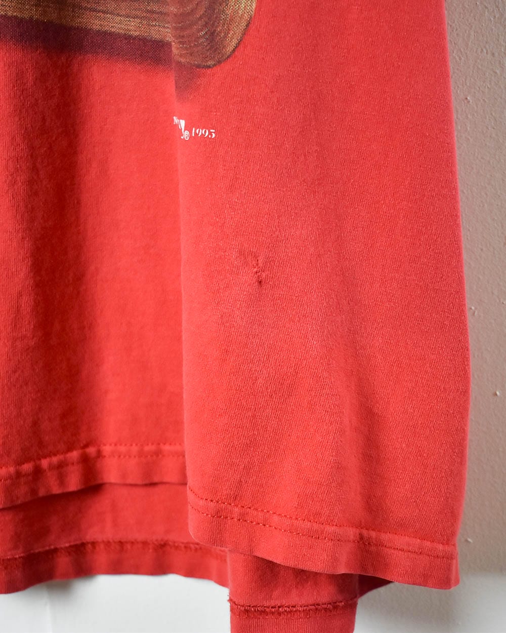 Nutmeg St Louis Cardinals Graphic T-Shirt - X-Large - Domno Vintage 