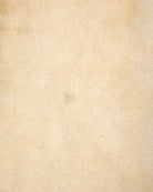 Neutral Carhartt Carpenter Jeans - W38 L36