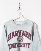 Stone Harvard University Dyed Sweatshirt - Small